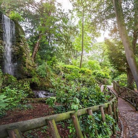 Calme Appart Renove Jardin Des Plantes Busca Toulouse Exteriér fotografie