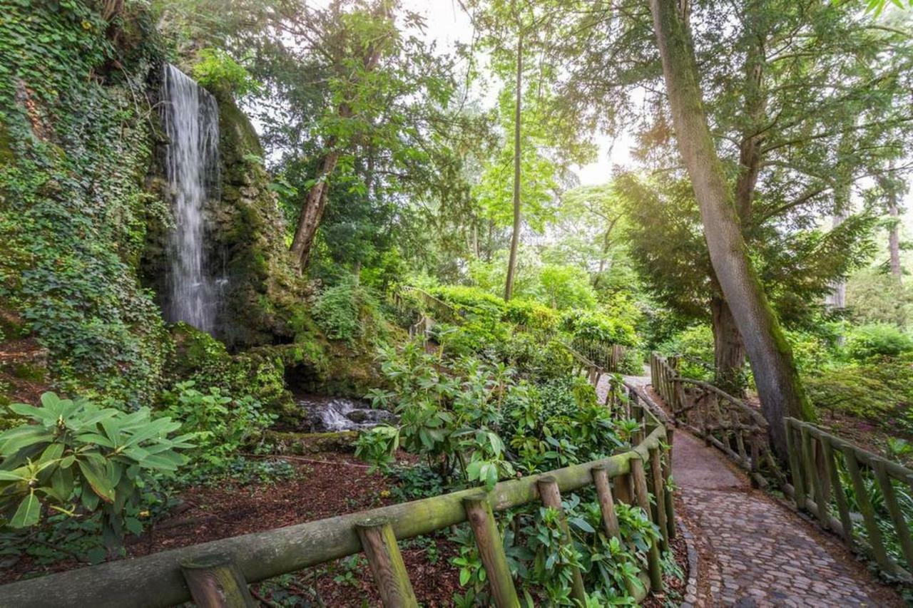Calme Appart Renove Jardin Des Plantes Busca Toulouse Exteriér fotografie